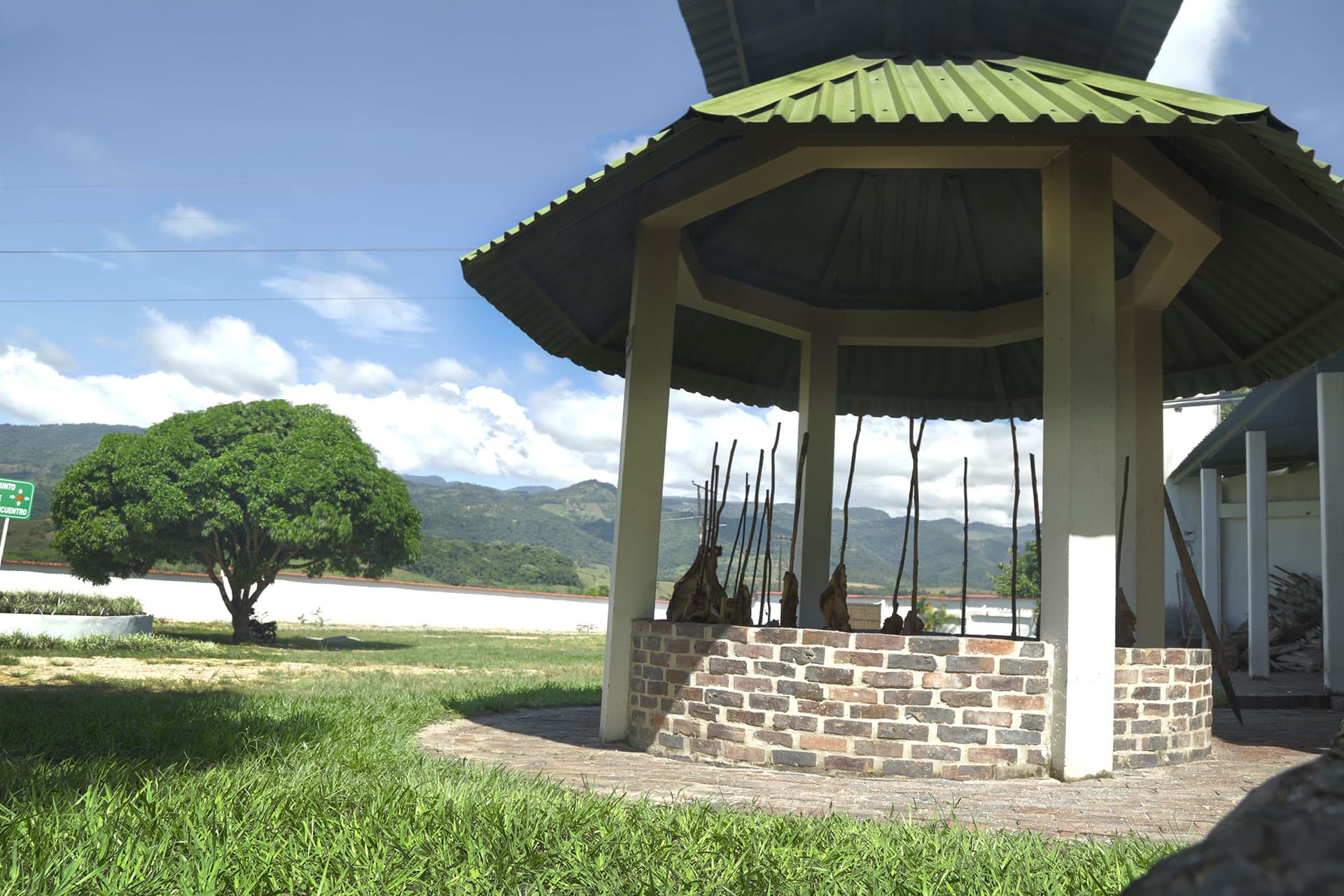 Mamona llanera
