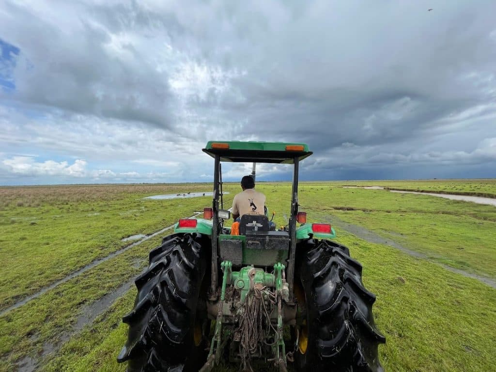 Safari llanero en el Hato Barley, Tauramena Casanare